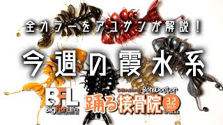 オカッパリガイド・アユサンの今週の霞水系！踊る接骨院・全カラーをアユサンが解説！