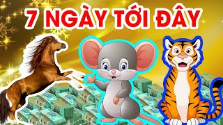 Có Lộc Trời Trúng Độc Đắc 7 Ngày Tới Có 3 Con Giáp Trúng Lớn 2 Lần, TIỀN TIÊU MỎI TAY, GIÀU ĐỘT BIẾN