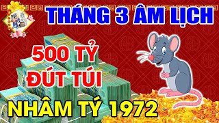 Tử Vi Tuổi Nhâm Tý 1972 Tháng 3 Âm Lịch Vận Số Đã Đến, Bất Ngờ Trúng Lớn, GIÀU BẤT THÌNH LÌNH