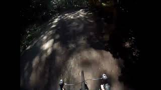 Moore Park Ravine