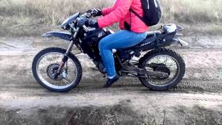 ZEALSUN ZS 200 GY A