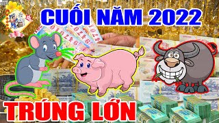 Cả Nước Phải Ghen Tỵ Với 3 Con Giáp Này, Được THẦN TÀI Cho Lộc, TRÚNG ĐẬM TIỀN TỶ, Vào Cuối Năm 2022