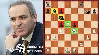 Шахматы. Гарри Каспаров. Коронная ШОТЛАНДСКАЯ ПАРТИЯ!