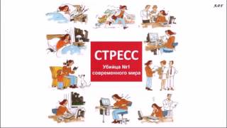 МАЙНТ МАСТЕР - Витамины для мозга, против СТРЕССА