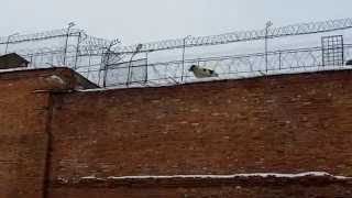 Тюрьма в Волоколамске. Prison Volokolamsk