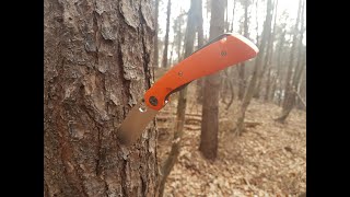 Spyderco SUBVERT Folding Knife