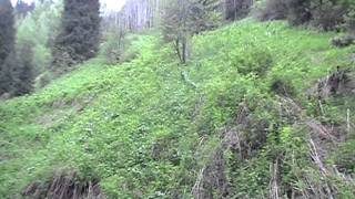Алмата. 18.05.2011. Прогулки в горах близ Медеу. Часть 2