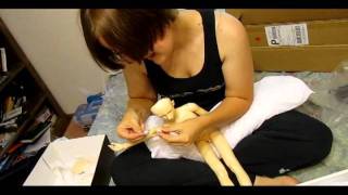 BJD Box Opening