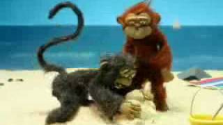 Monkey sex