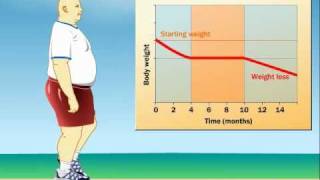 How Does Exercise Impact Weight Loss?