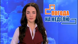 Бабьему лету быть? Погода на неделю | Прогноз погоды с 3 по 9 октября 2022 | Плюс-минус