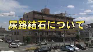 尿路結石の手術（ESWL・f-TUL） - 熊本泌尿器科病院