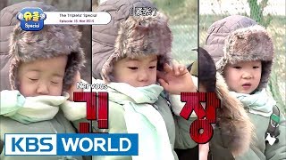 The Return of Superman - The Triplets Special Ep.18 [ENG/CHN/2017.09.08]