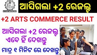 CHSE +2 Result Odisha 2019 Arts Commerce Result Now available check Now
