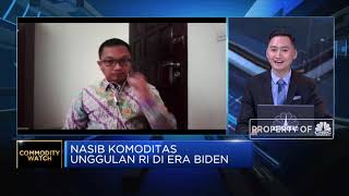 Era Biden, Ekspor Komoditas RI ke AS Akan Diwarnai Isu Lingkungan