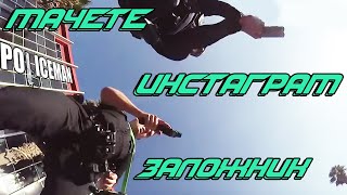Задержания преступников/полиция США