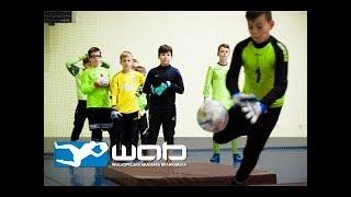 Wielkopolska Akademia Bramkarska