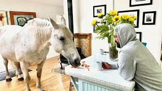 A horse crushed this man's leg. Watch what he does to the horse.