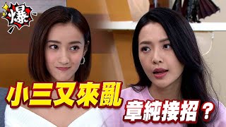 《多情大爆爆》多情城市 EP296 小三又來亂 章純接招？