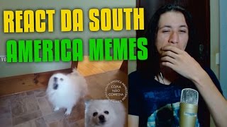 React Banda Djavu em cachorrês (South America Memes)