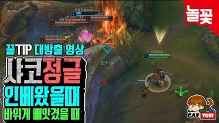 [개소주-샤코] 녹턴 방플냄새가 나는데.. (League of Legends/LOL/jungle/shaco)