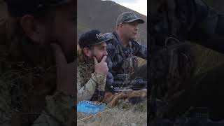 Wallaby Hunting: Why Further is Better???? #longrangehunting #hunting #varminting