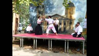 SEISHOKAN AIKIDO EGYESÜLET