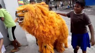 Singo Ulung Lepas dan Berkeliaran di Jalan!!