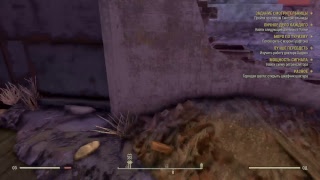 Fallout 76 PS4 Pro Стрим Приключения в радиационной пустоши #6