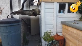 Трейлер Смайл Продакшн