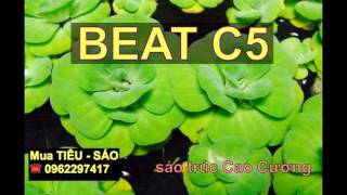 BÈO DẠT MÂY TRÔI beat chuẩn đô C5