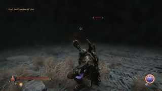 Lords of the Fallen - Infinite Void 2