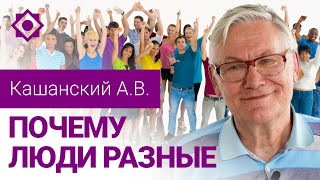 Кашанский А.В. «Почему люди разные (Лебедь, рак и щука)»