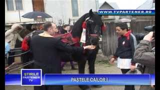Partener TV. PAŞTELE CAILOR !