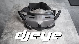 DJI Goggles 2 Don't Get Too Excited