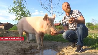 Переехал в деревню и открыл необычный приют для животных! Здесь живут не только собаки и кошки
