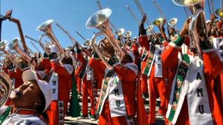 FAMU 2010 "Mr. Loverman"