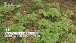 역류성 식도염을 치료해 준 천연 소화제는?_채널A_신대동여지도 38회