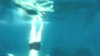 острів Іскія (isola d' Ischia)