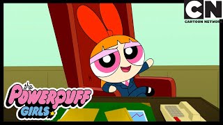 Хаос - наша профессия! | Суперкрошки | Cartoon Network