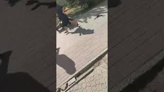 Семейные скандалы, интриги, расследования на песках, ост. ПОЧТА