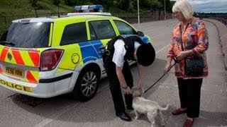 Dog operation - join Merseyside Police officers