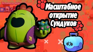 Масштабное открытие сундуков в бравл старс!