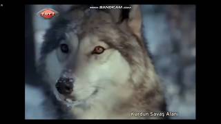 KURDUN SAVAŞ ALANI TRT FULL İZLE