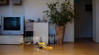 T-Rex im Wohnzimmer