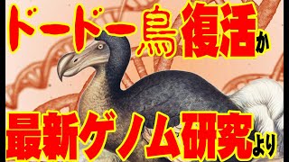 【お便り】絶滅したドードー鳥、遺伝子操作で復活、滋賀県安土の狐騒動　 ATL4th138