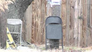 Shooting Test: Jin Gong AUG Accuracy Test