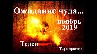 ТЕЛЕЦ. НОЯБРЬ 2019.  Ожидание чуда… Прогноз Tarot.