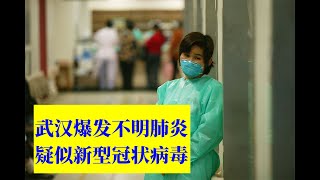 武汉爆发不明肺炎（二）疑似新型冠状病毒，是否人传人14号见效