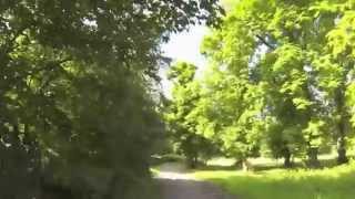 Morden Hall Park, London